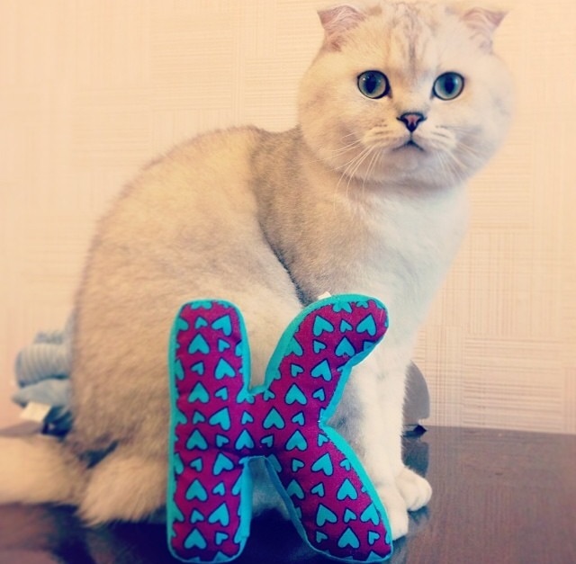 Мягкие буковки