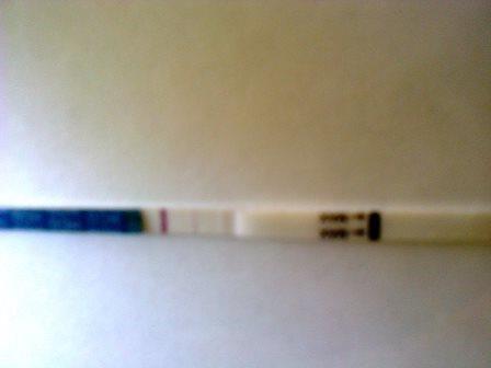 тестомания продолжается!