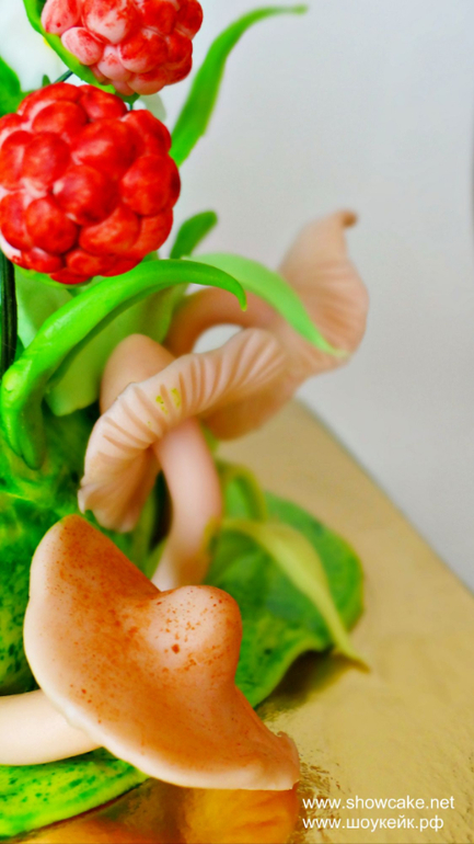 Торт с Динь и Незабудкой.