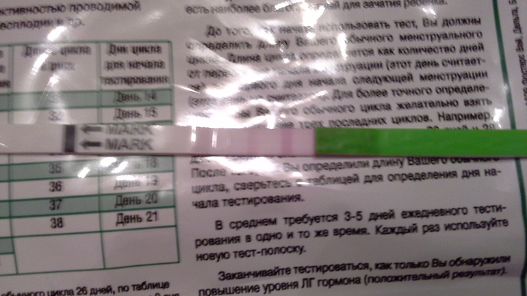Тест на овуляцию