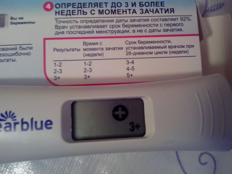 Тест на беременность после месячных через сколько
