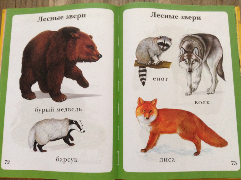 Наши майские книги