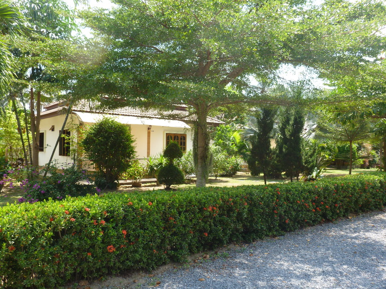 Первые 2 недели на Самуи