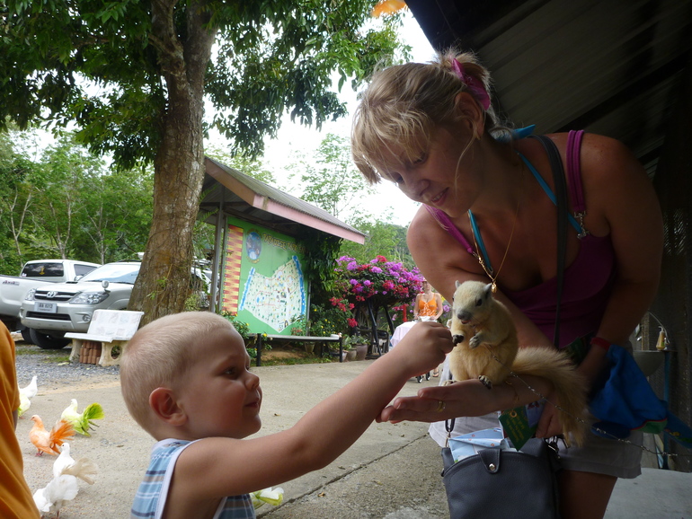 Парадайз парк