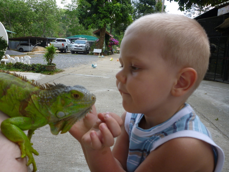 Парадайз парк