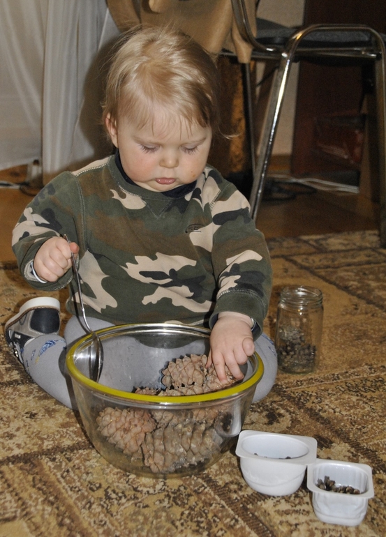 Тематическая неделя под кодовым названием «Мишка косолапый по лесу идет... шишки собирает, песенки поет...»)) День первый. Шишка.