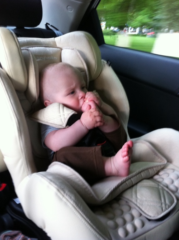 Новости с южного фронта