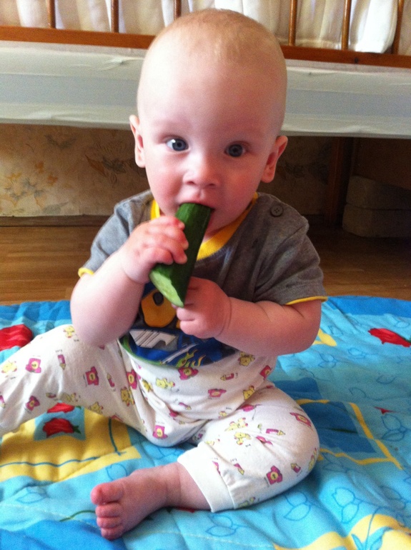 Новости с южного фронта