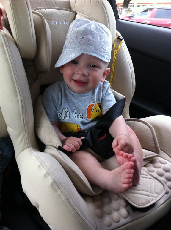 Новости с южного фронта