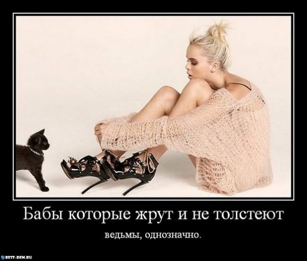 7ae48ebfd34206f26ae25c747f41a50c.jpg