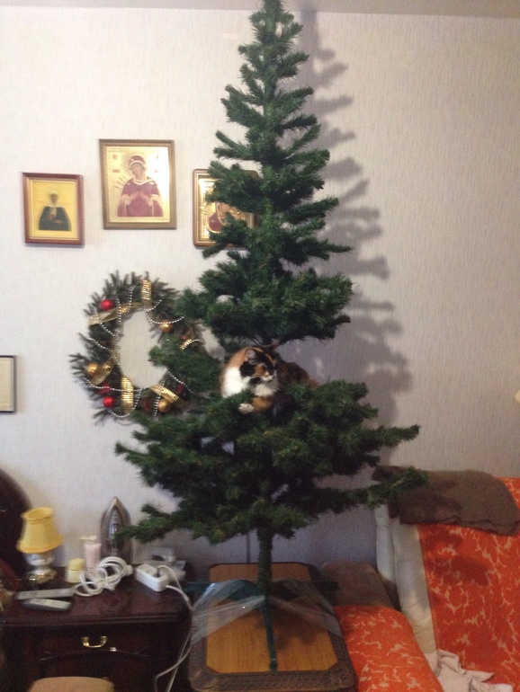 И вот она нарядная на праздник к нам пришла!