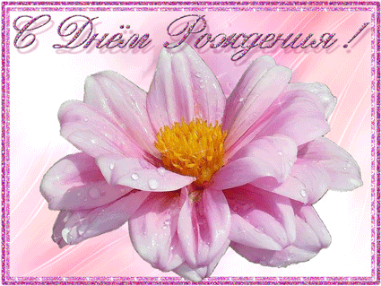 9a449eb02458640081f6d2b3f48dda85.gif