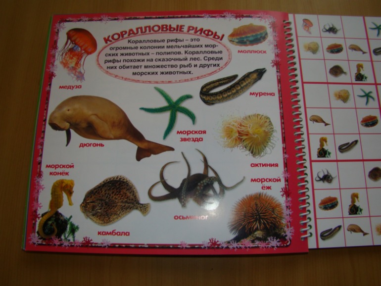 САФАРИ СУДОКУ ДЛЯ ДЕТЕЙ.