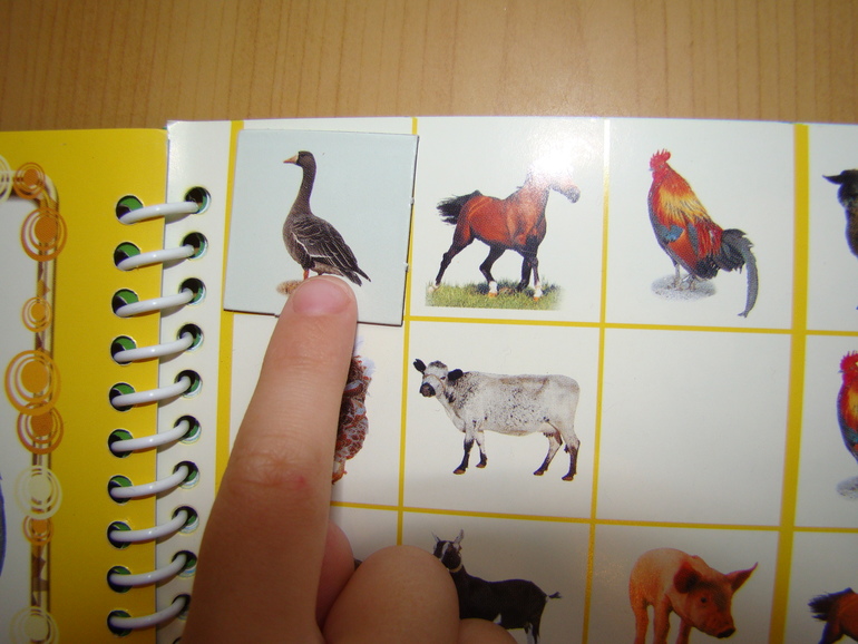 САФАРИ СУДОКУ ДЛЯ ДЕТЕЙ.