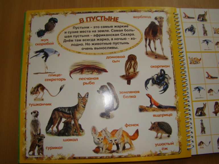 САФАРИ СУДОКУ ДЛЯ ДЕТЕЙ.