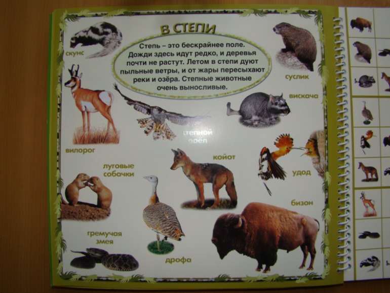 САФАРИ СУДОКУ ДЛЯ ДЕТЕЙ.