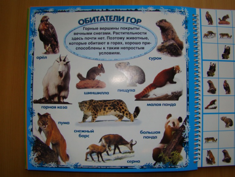 САФАРИ СУДОКУ ДЛЯ ДЕТЕЙ.