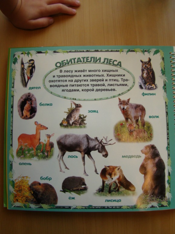 САФАРИ СУДОКУ ДЛЯ ДЕТЕЙ.