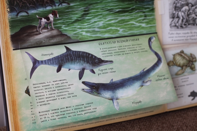 Динозавроведение. Поиски затерянного мира