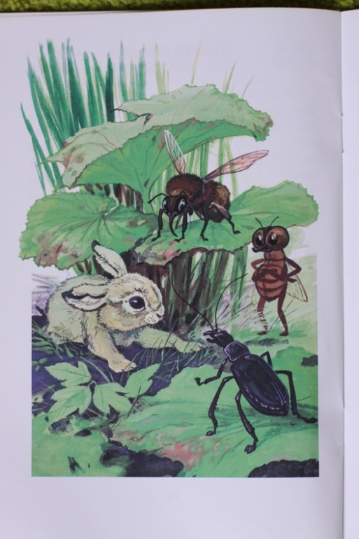 Сказки про Мушонка и его друзей