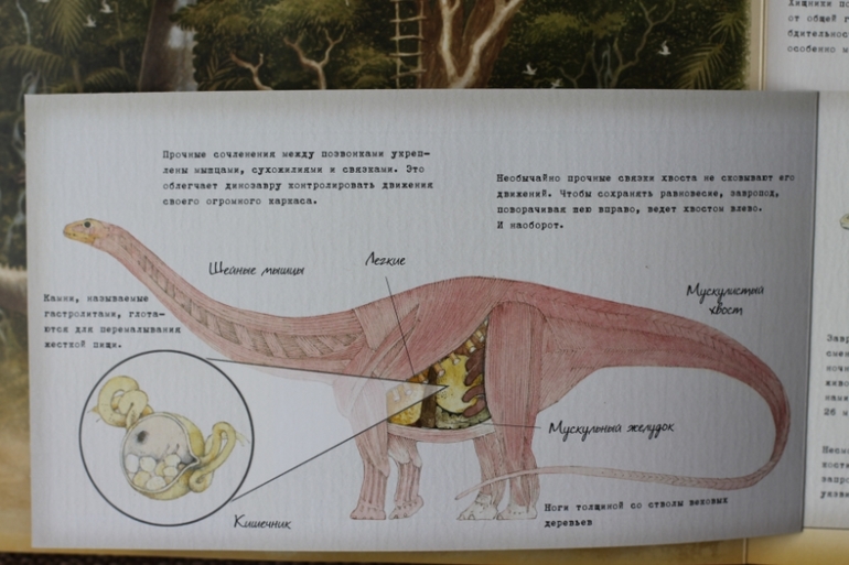 Динозавроведение. Поиски затерянного мира