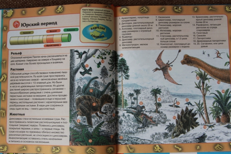 Познакомься, мама...