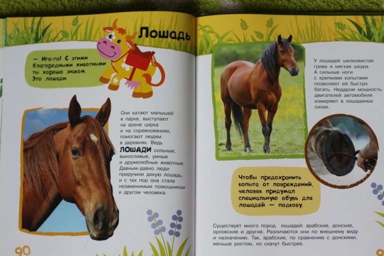 Энциклопедия животных для малышей