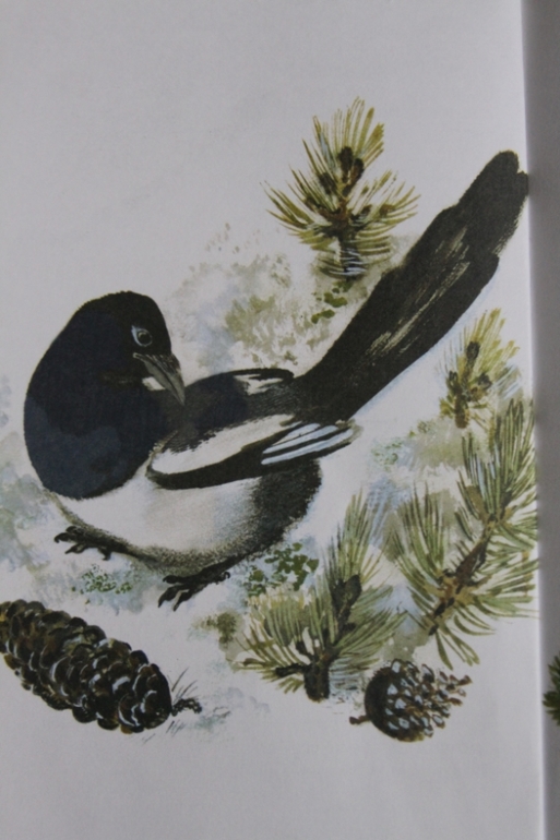 Тюпа -антистресс