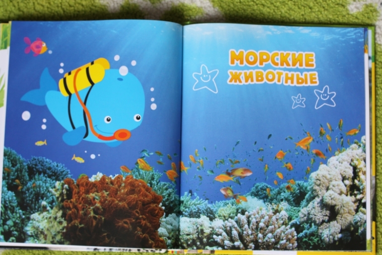 Энциклопедия животных для малышей