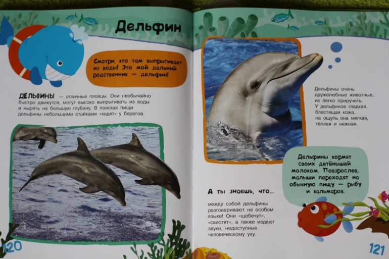 Энциклопедия животных для малышей