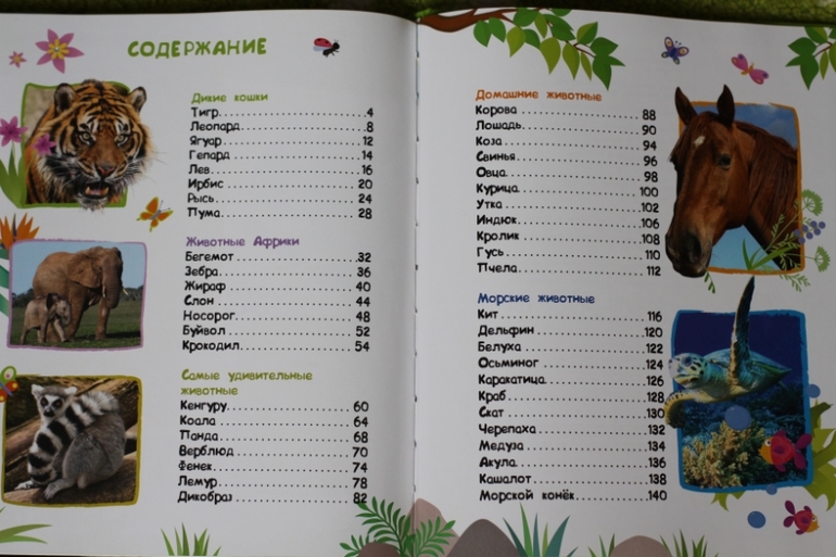 Энциклопедия животных для малышей