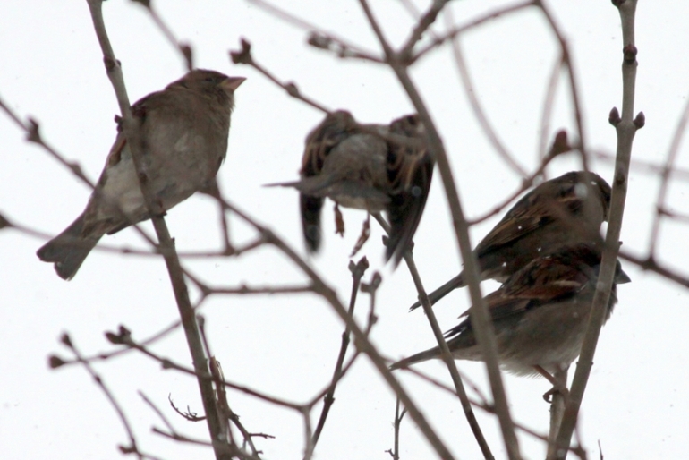 Общественно-полезный труд :)