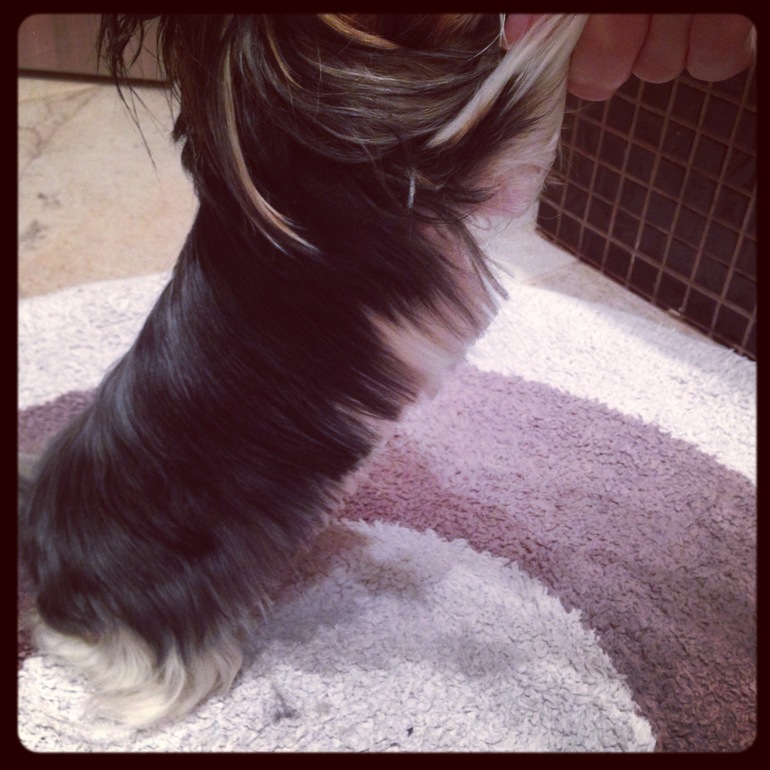 Дачники мои)