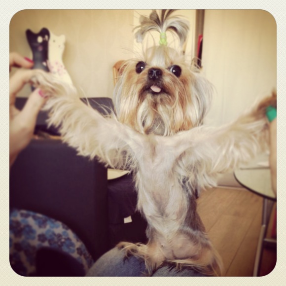 Мои зверята)))