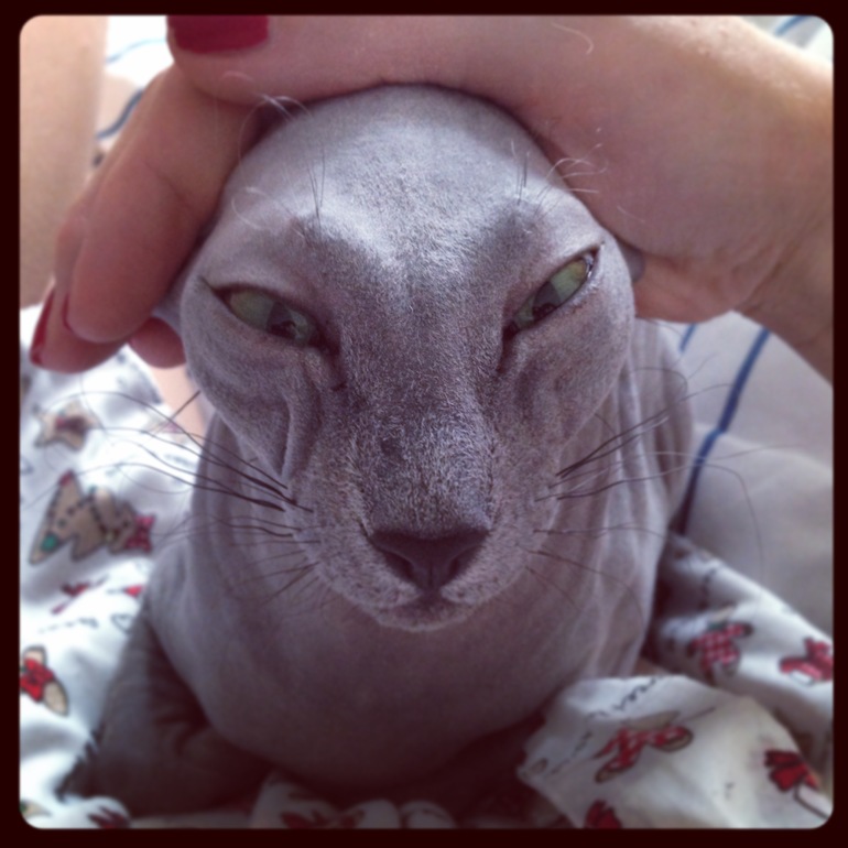 Фото моих девочек)))