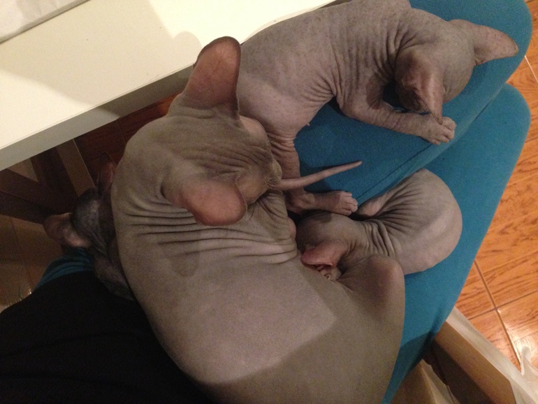 1,5 Мес малышне!!)))