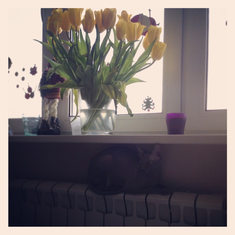 Фото моих девочек)))