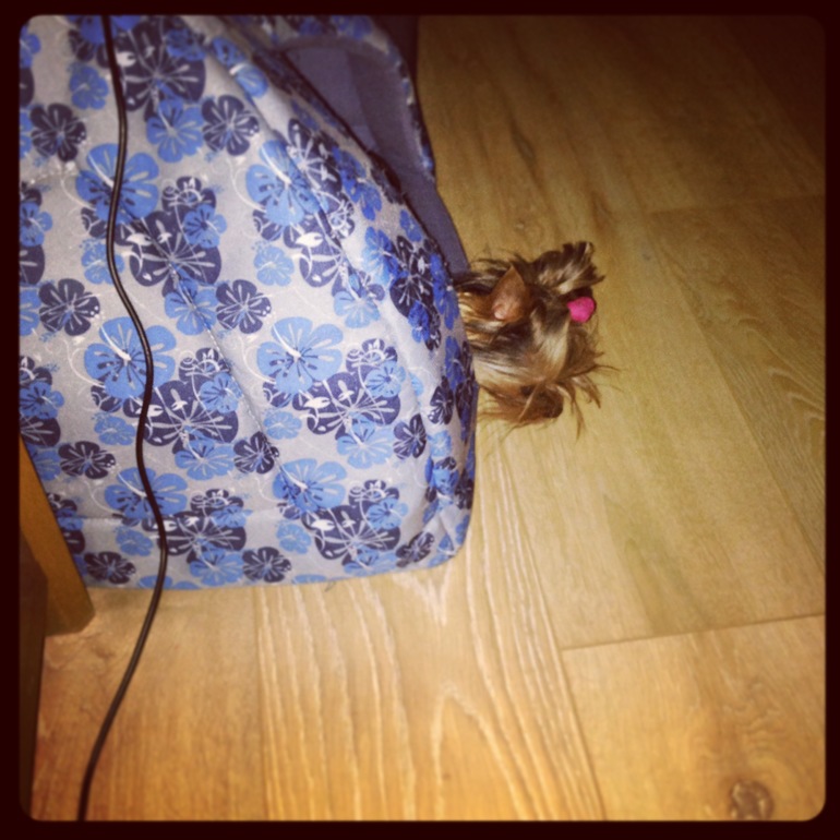 Фото моих девочек)))