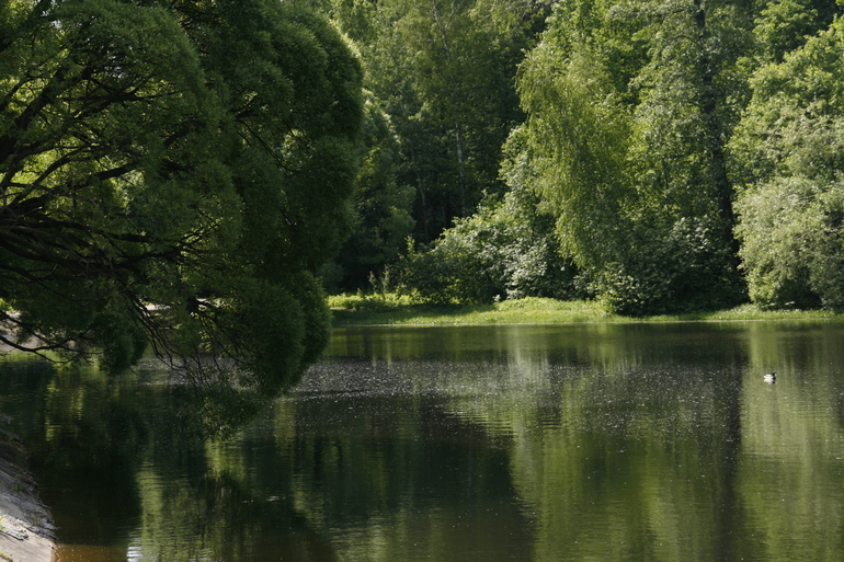 6c9afcb5d9ff2a371612adb20be11531.jpg