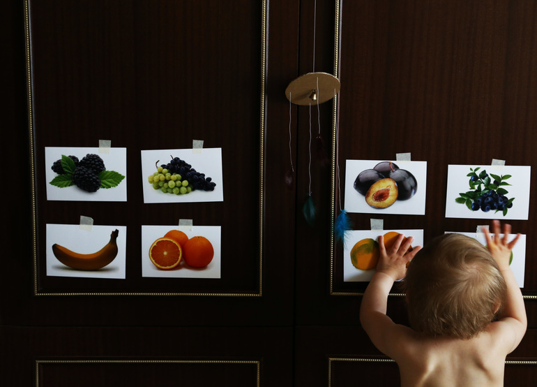 Флеш-карты, Шичида