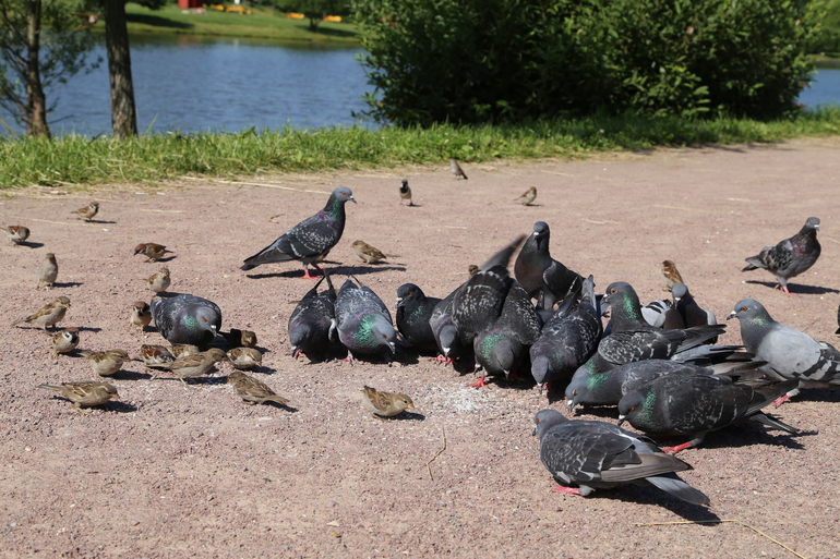 Навстречу природе