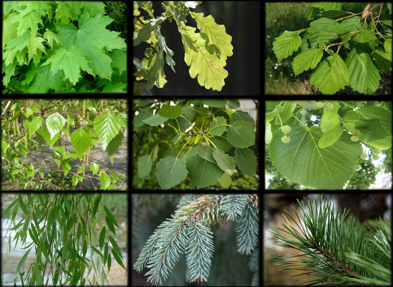 Навстречу природе