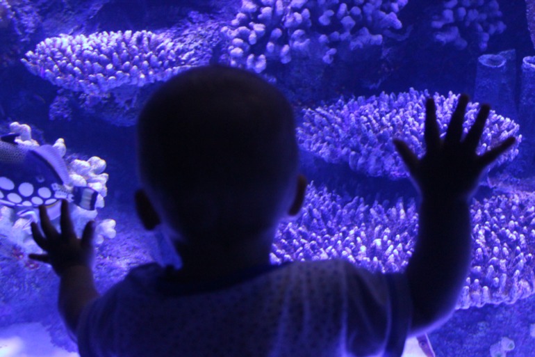 Андрюша, его родители и бабушка ездили на мооооре)