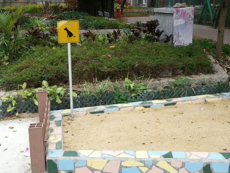 Гонконг с детьми