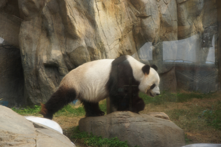 Гонконг с детьми