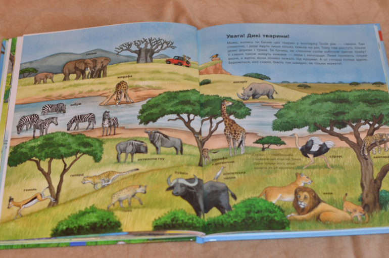 Бюджетные смотрелки от Ранка