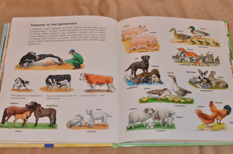 Бюджетные смотрелки от Ранка