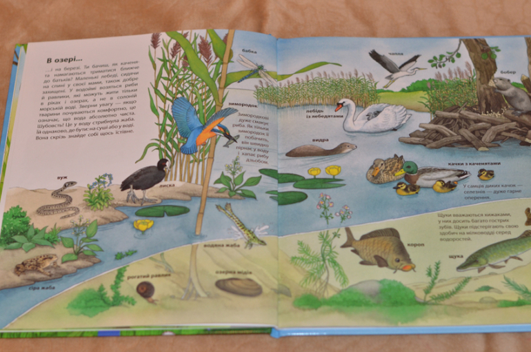 Бюджетные смотрелки от Ранка