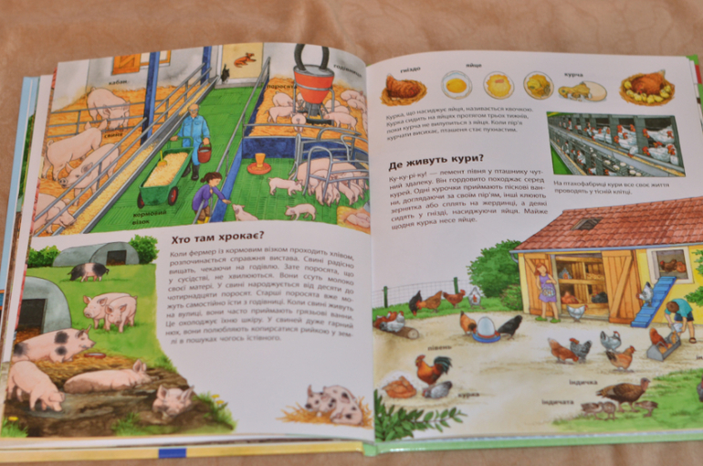 Бюджетные смотрелки от Ранка