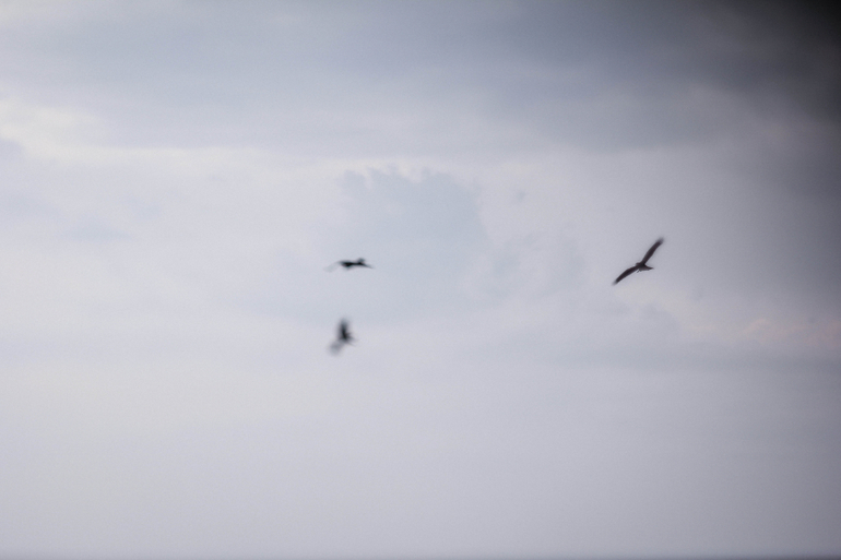 Фото-зарисовки